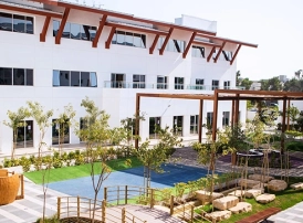 Safa British School